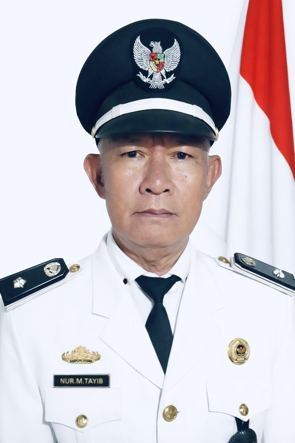 M.TAYIB